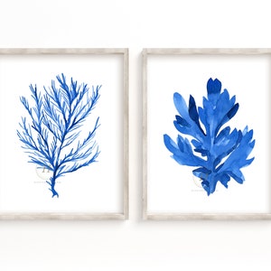 Coral and Seaweed Print Set of 2