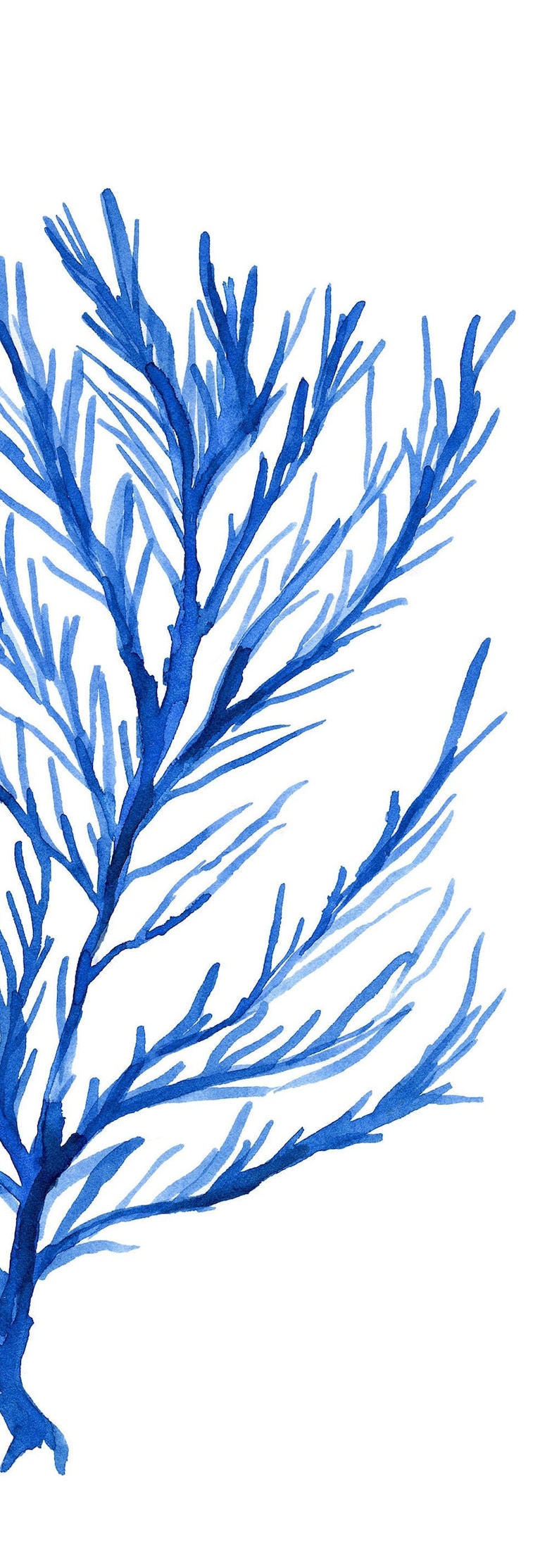 Coral and Seaweed Print Set of 2