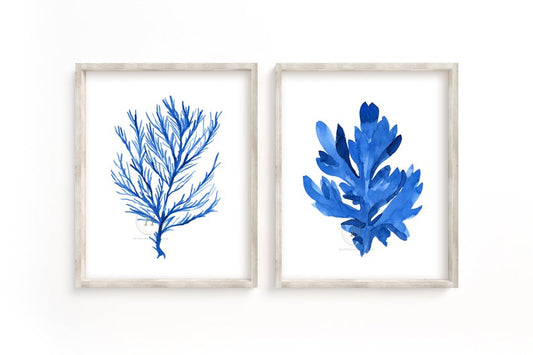 Coral and Seaweed Print Set of 2