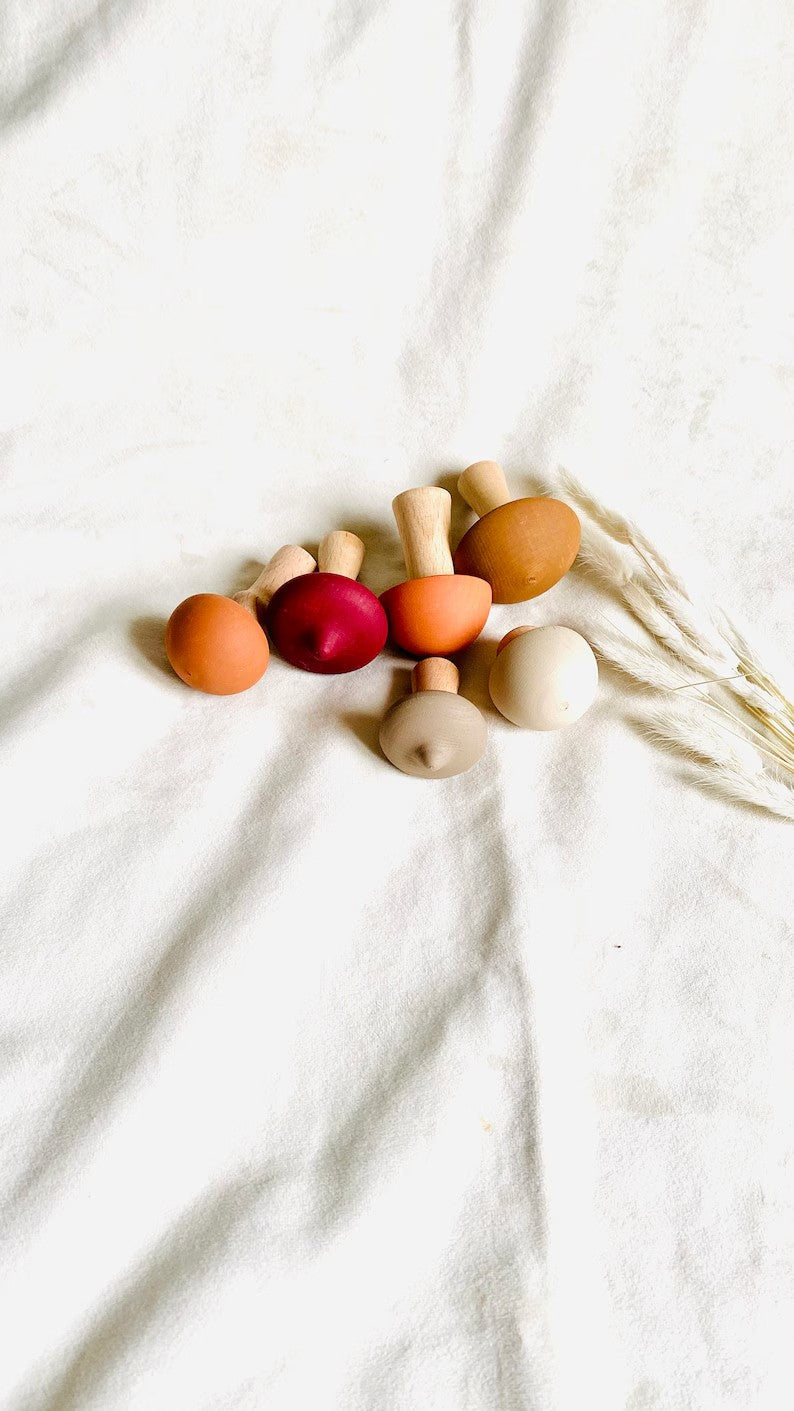 wooden mushrooms - set of 6 mushrooms- Wooden mushroom decoration - wooden mushroom toy