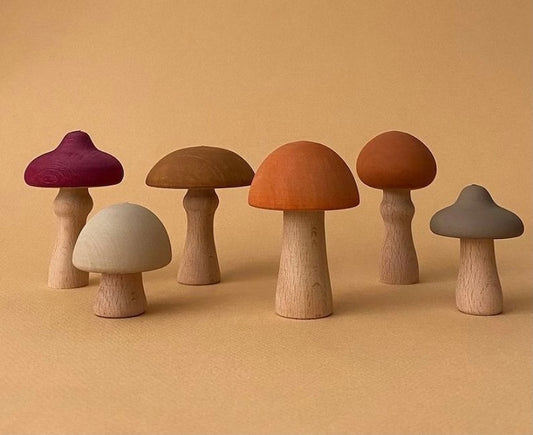 wooden mushrooms - set of 6 mushrooms- Wooden mushroom decoration - wooden mushroom toy