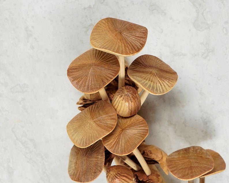 Mushrooms Wall Hanging