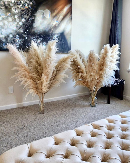 5 Stems TALL PAMPAS GRASS 2-4ft | Grand Sale