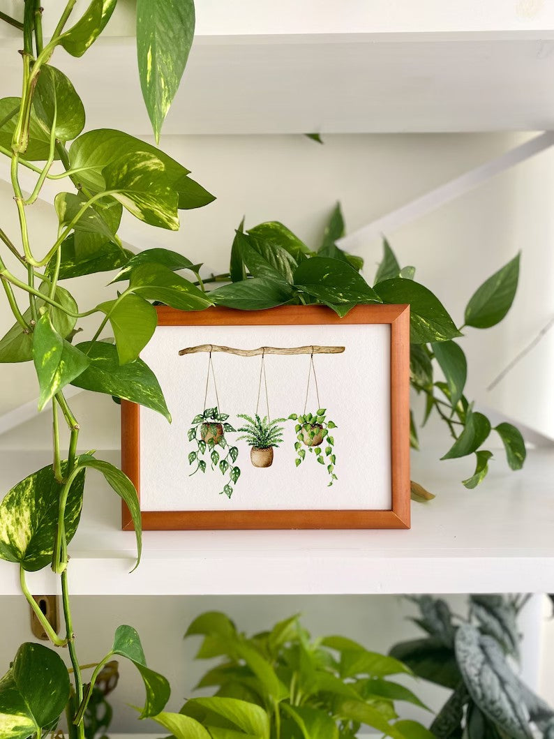 Hanging plants poster