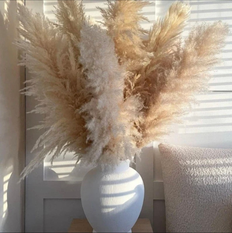 5 Stems TALL PAMPAS GRASS 2-4ft | Grand Sale